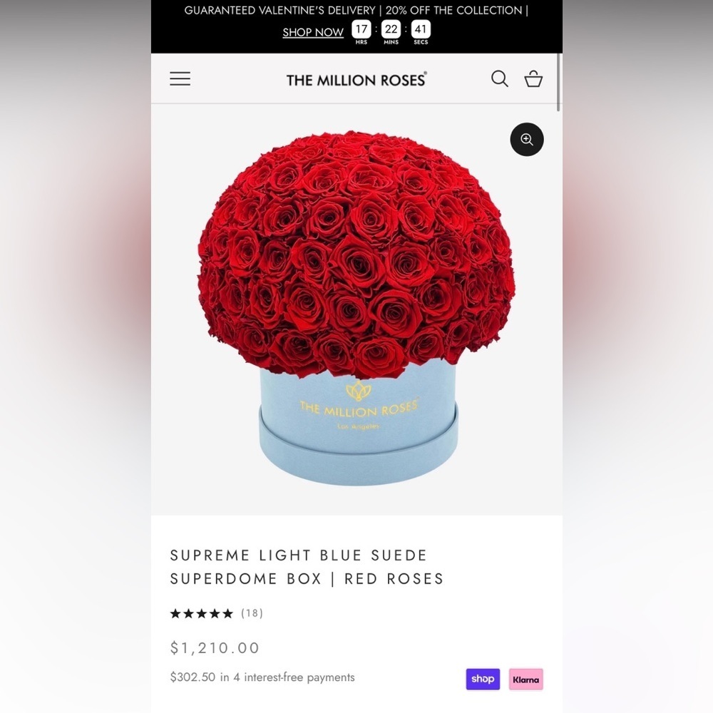 SUPREME BORDEAUX SUEDE SUPERDOME BOX | BURGUNDY ROSES